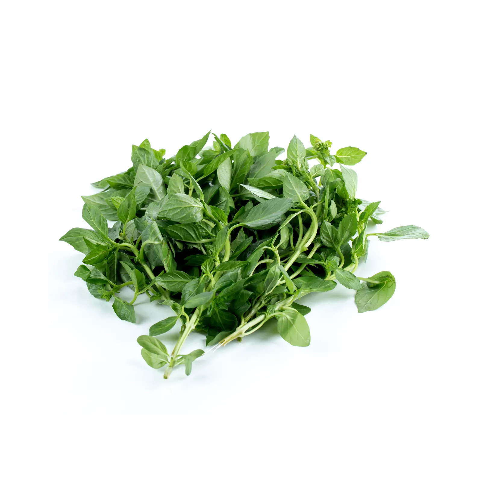 Albahaca (manojo)