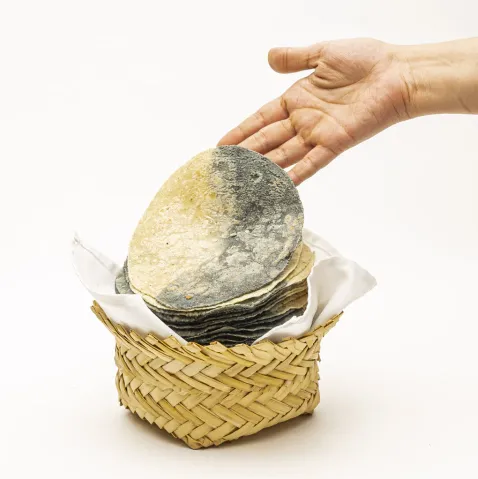 Tortillas de maíz bicolor (1kg)