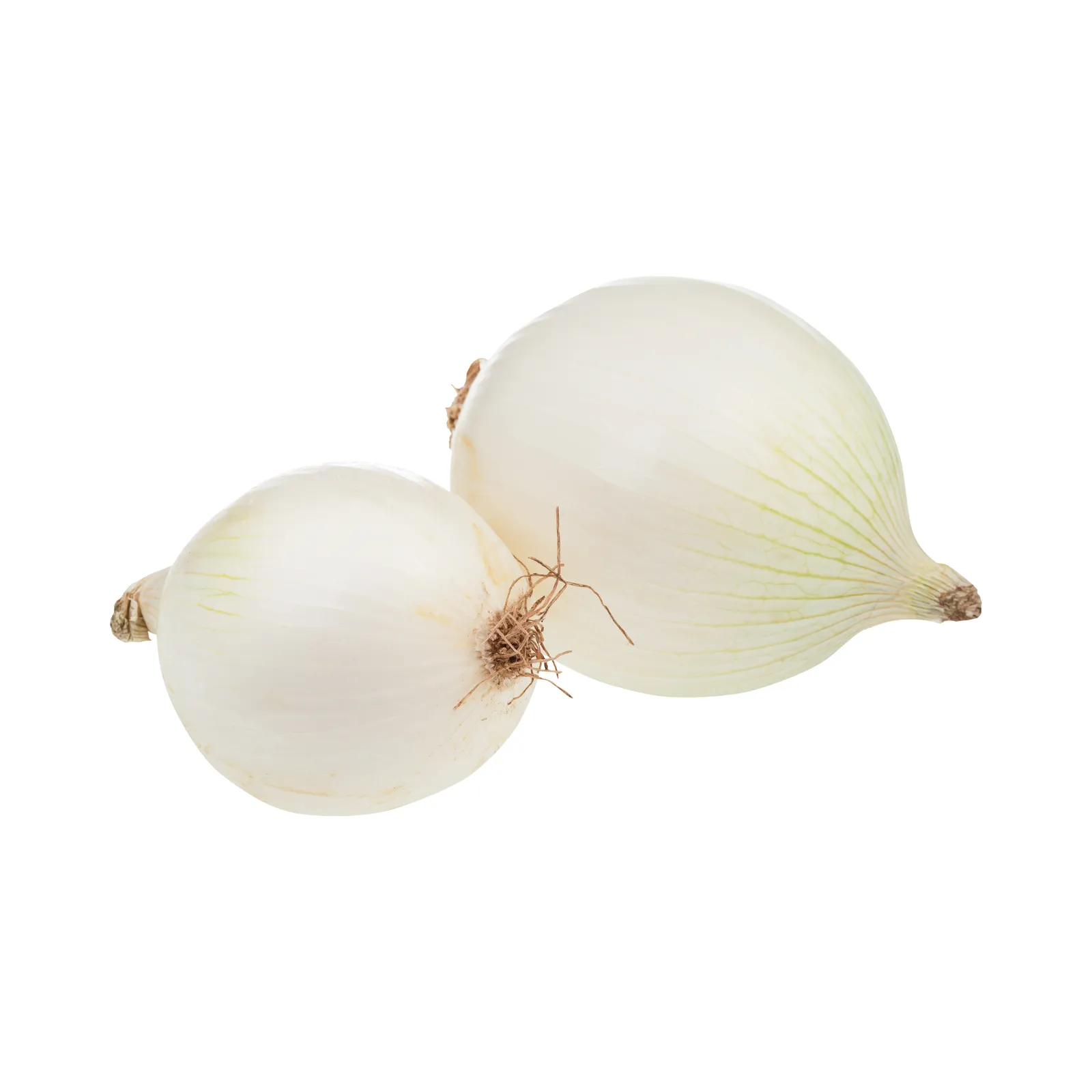 Cebolla (kg)