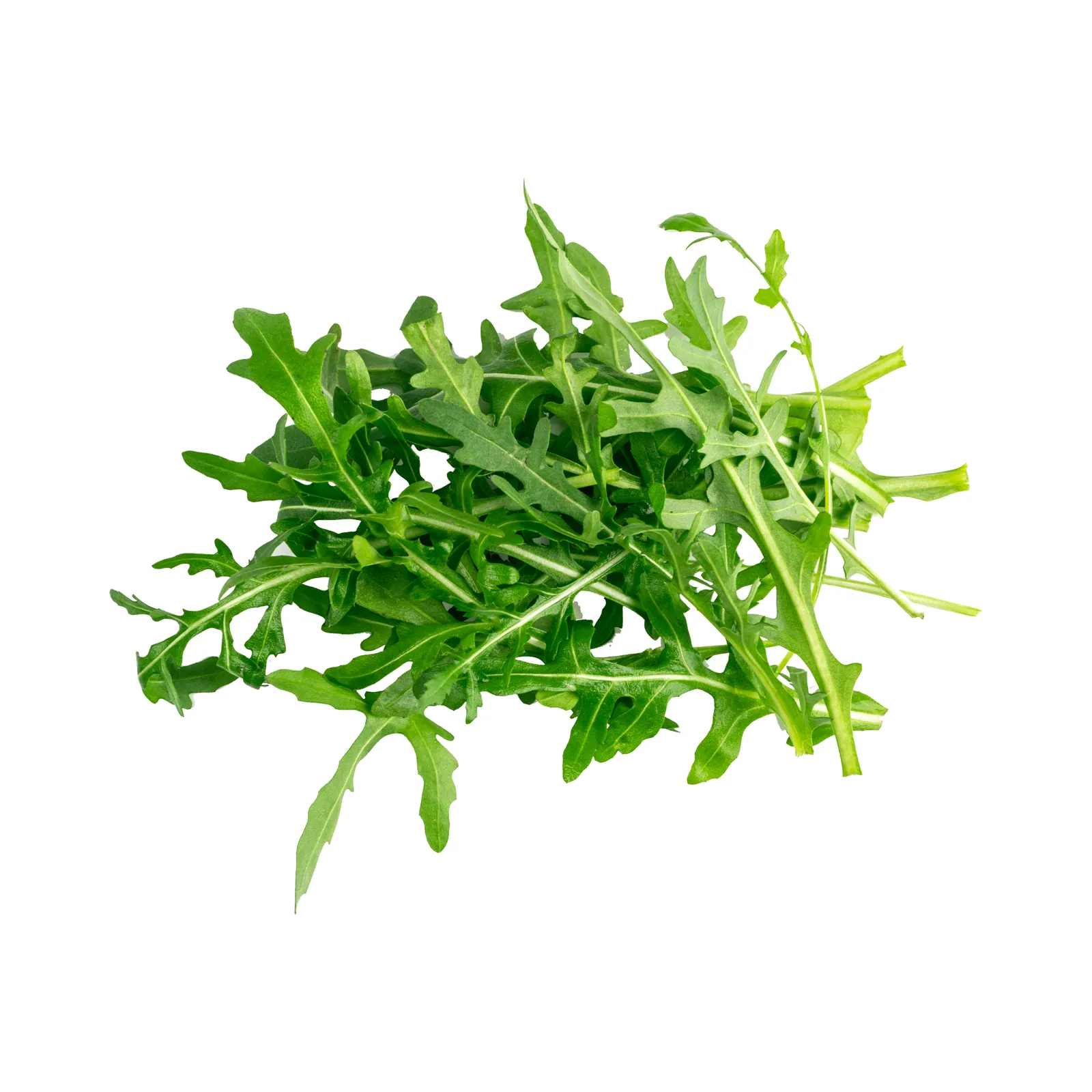 Arúgula (manojo)
