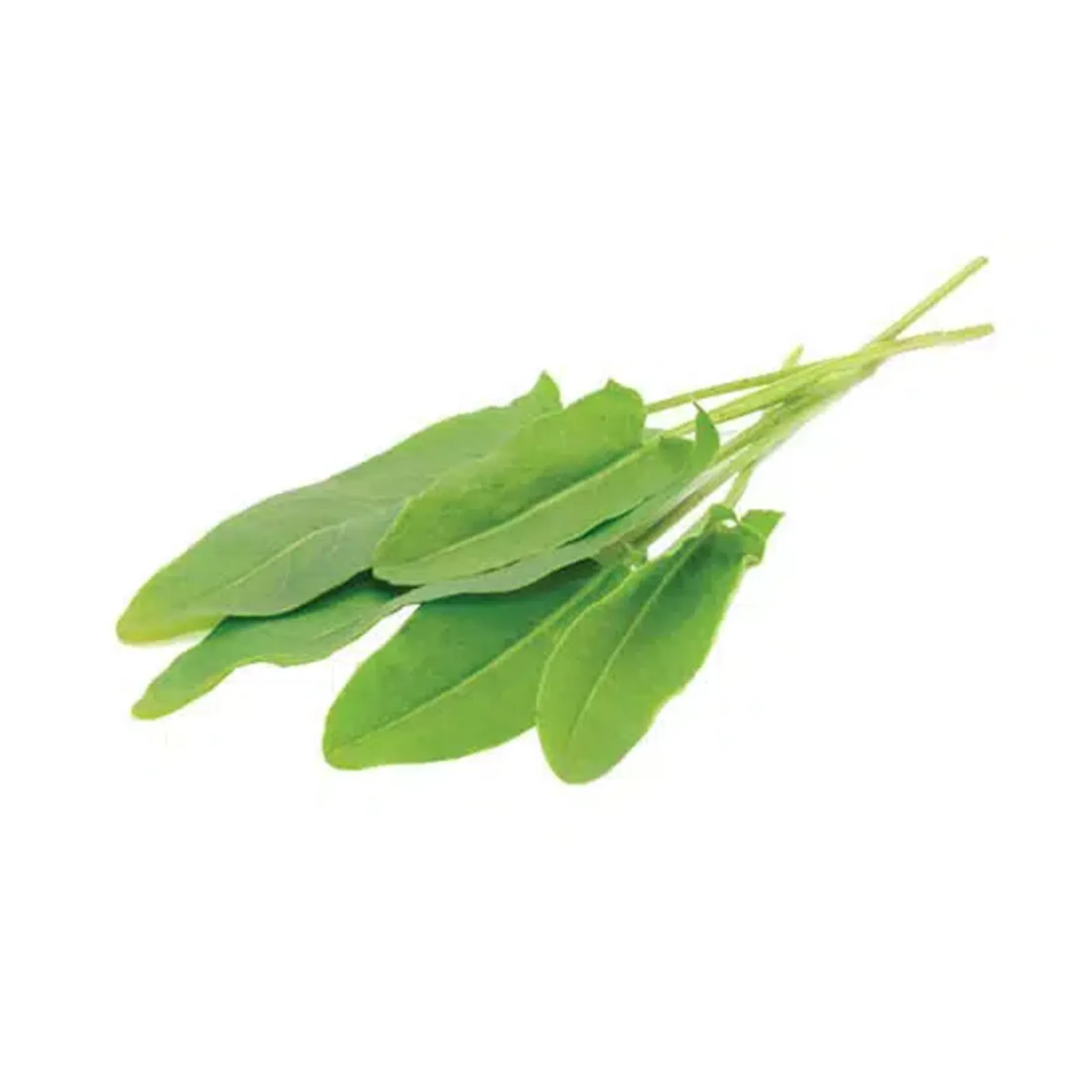 Quelite lengua de vaca (manojo)